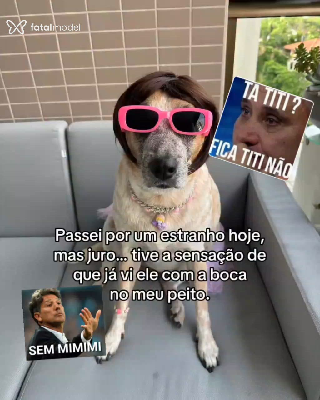 Acompanhante mulher morena (o) de olhos castanhos em Serra - Pérola Negra