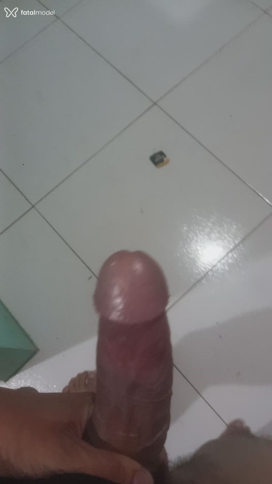 Acompanhante homem morena (o) de olhos castanhos em Belém Acompanhante homem morena (o) de olhos castanhos em Belém - Cabeçudo