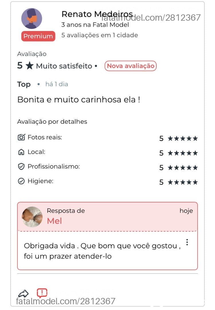 Acompanhante mulher com cabelo castanho de olhos castanhos em Fortaleza - Mel