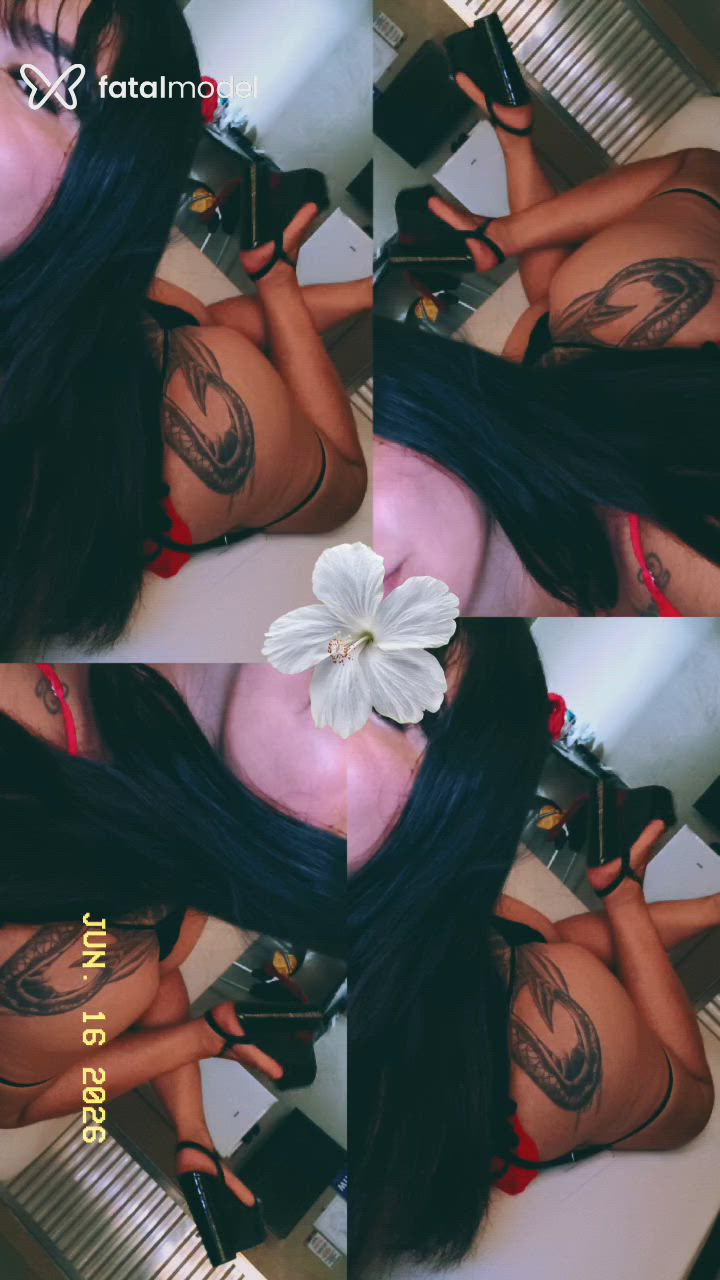 Acompanhante mulher morena (o) de olhos pretos em Ananindeua Acompanhante mulher morena (o) de olhos pretos em Ananindeua - Mel nakata