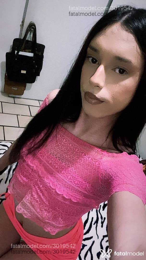 Acompanhante mulher trans morena (o) de olhos pretos em Gaspar - Alice