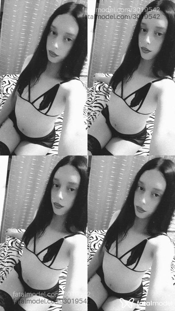 Acompanhante mulher trans morena (o) de olhos pretos - Alice