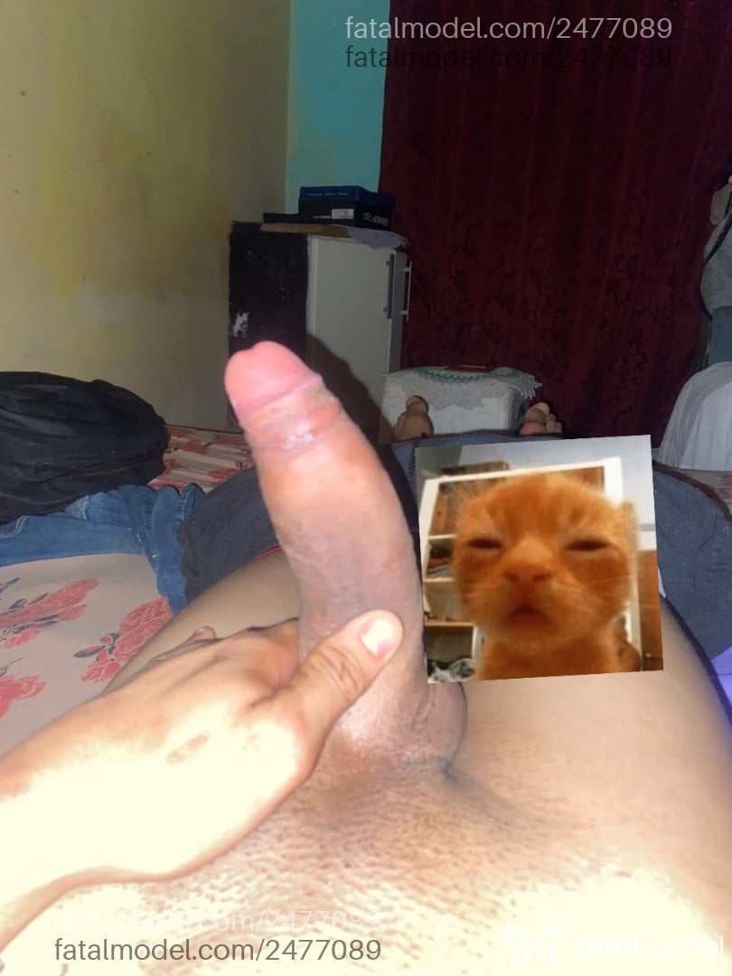 Acompanhante homem com cabelo castanho de olhos castanhos em Luís Eduardo Magalhães Acompanhante homem com cabelo castanho de olhos castanhos em Luís Eduardo Magalhães - Oyasi