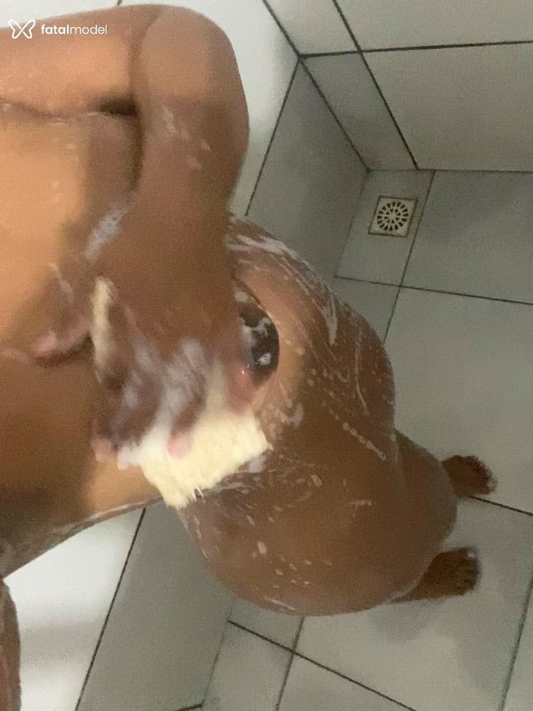 Acompanhante mulher com cabelo castanho de olhos castanhos - Ariadna Acompanhante mulher com cabelo castanho de olhos castanhos - Ariadna