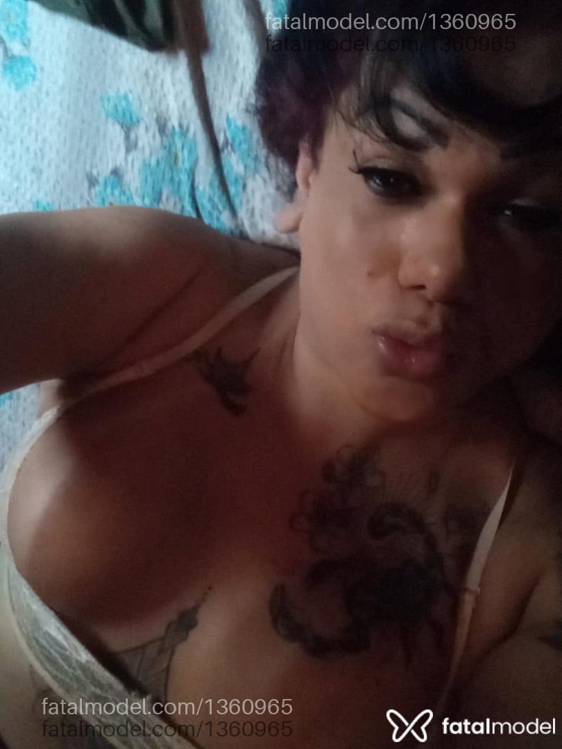 Acompanhante mulher trans morena (o) de olhos castanhos em Birigui - Layla marques