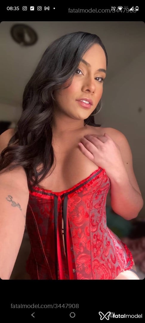 Acompanhante mulher trans morena (o) de olhos castanhos em Florianópolis - Tay Costa