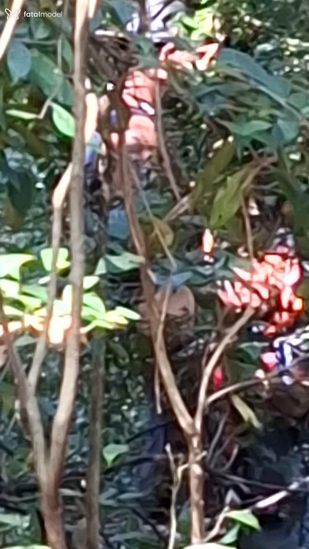 Acompanhante homem com cabelo castanho de olhos castanhos em Sumaré Acompanhante homem com cabelo castanho de olhos castanhos em Sumaré - Thiago