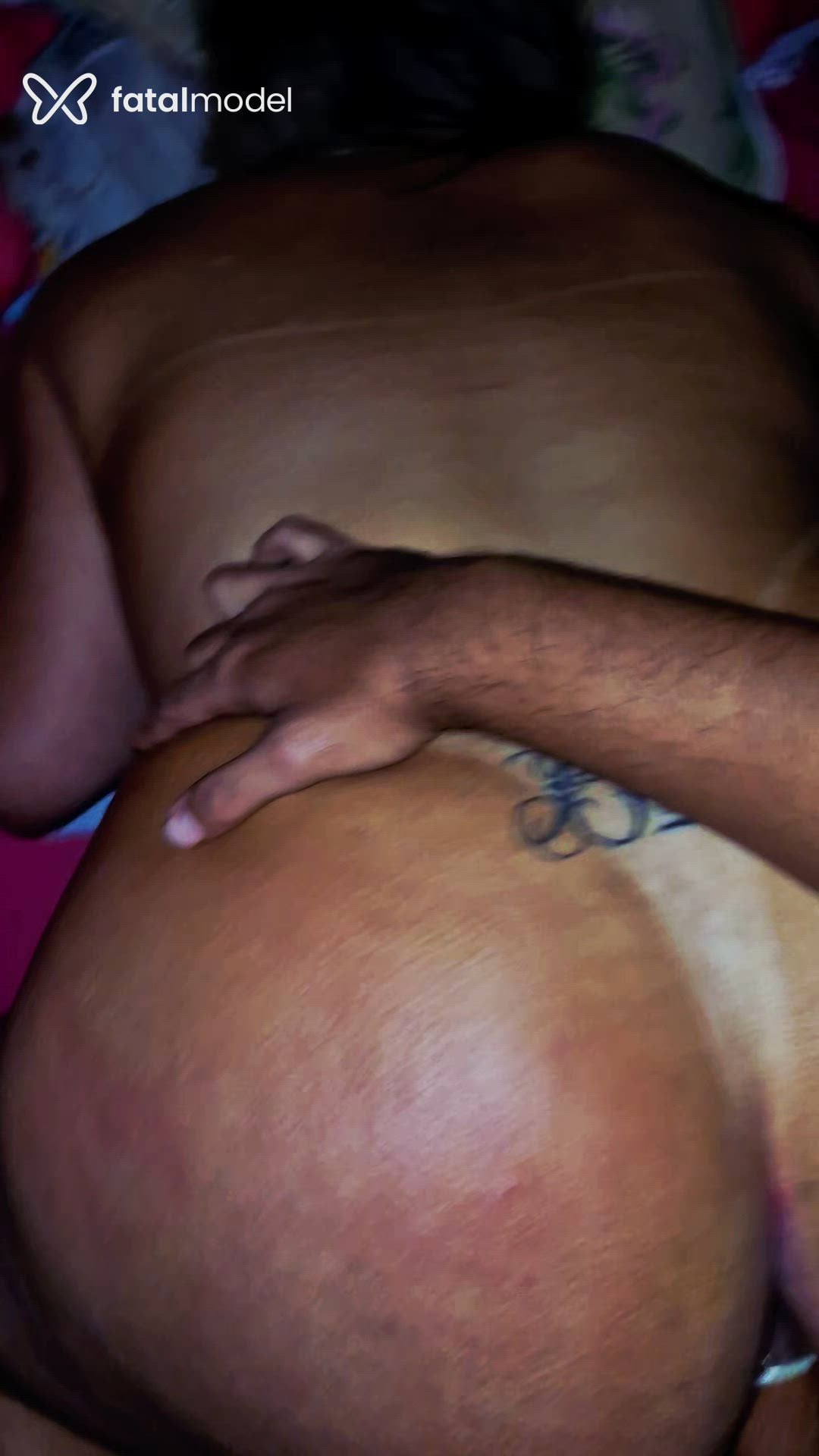 Acompanhante homem morena (o) de olhos castanhos em Caraguatatuba - Gabriel Sigbrant
