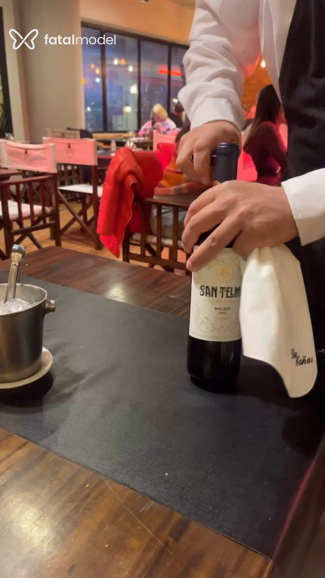Acompanhante homem morena (o) de olhos castanhos em Foz do Iguaçu - Lucas Rafael