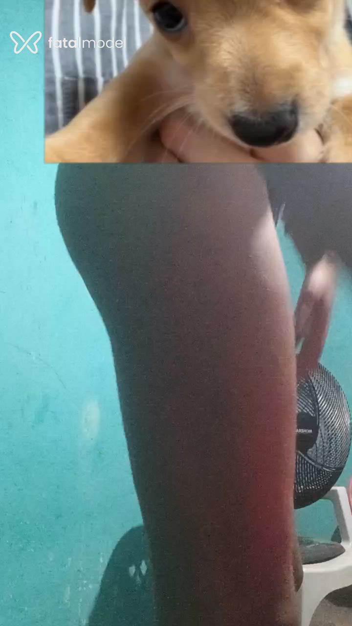 Acompanhante mulher trans com cabelo castanho de olhos pretos em Xinguara Acompanhante mulher trans com cabelo castanho de olhos pretos em Xinguara - Kauanny