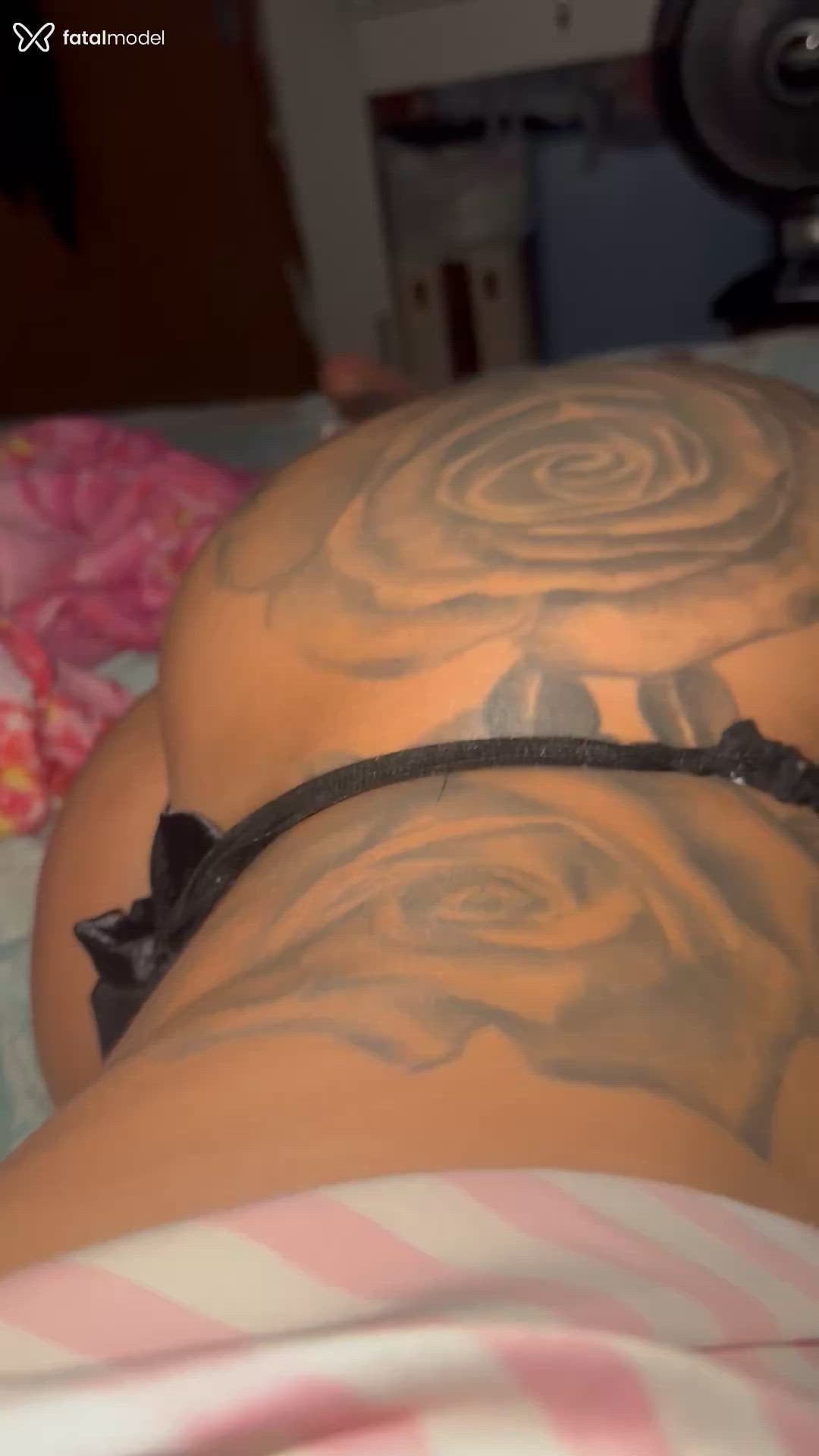 Acompanhante mulher morena (o) de olhos castanhos em Pirassununga Acompanhante mulher morena (o) de olhos castanhos em Pirassununga - Mirella