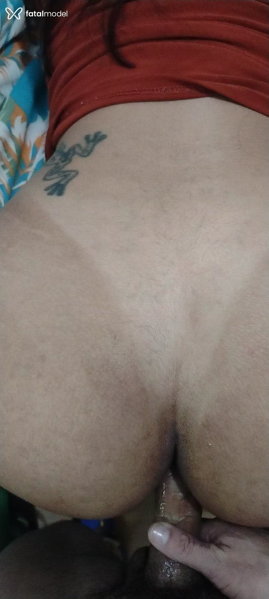 Acompanhante homem morena (o) de olhos castanhos em Porto Alegre Acompanhante homem morena (o) de olhos castanhos em Porto Alegre - Dilcinho Moura