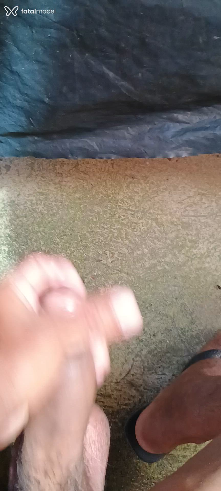 Acompanhante homem morena (o) de olhos pretos em Manaus - Van Souza