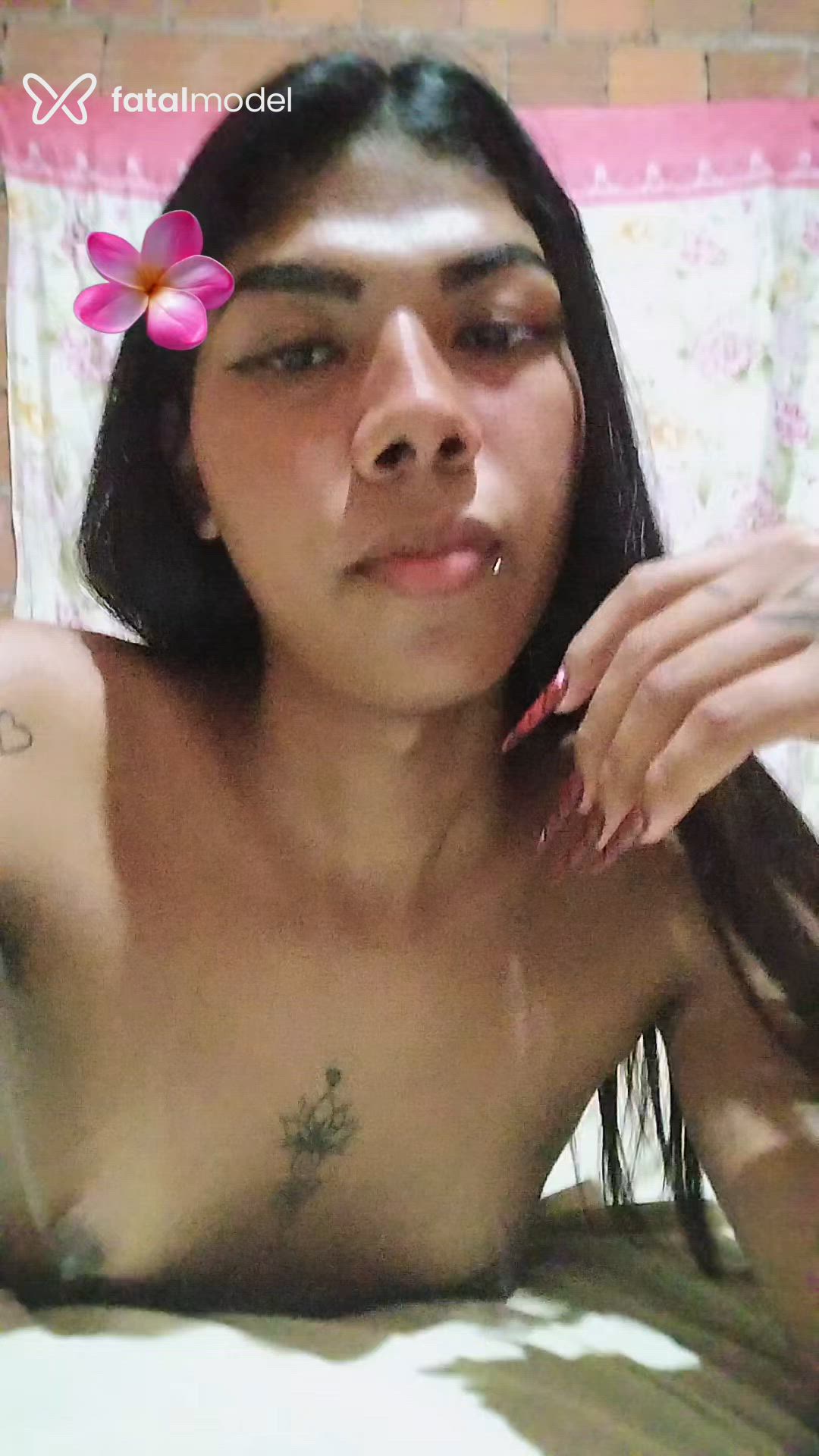 Acompanhante mulher trans morena (o) de olhos castanhos - Morena