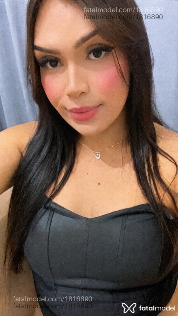 Acompanhante mulher trans com cabelo castanho de olhos castanhos em Araucária Acompanhante mulher trans com cabelo castanho de olhos castanhos em Araucária - Julia Pimentel