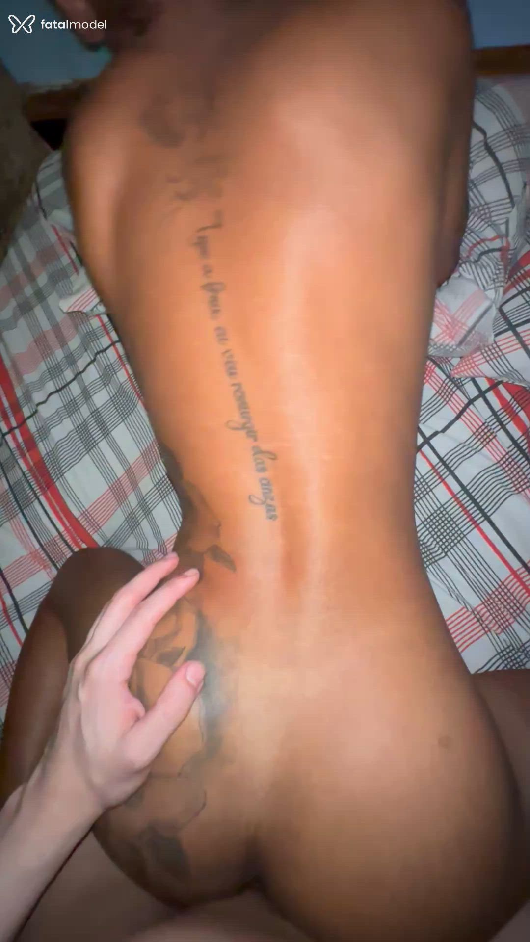 Acompanhante mulher trans morena (o) de olhos pretos - Scarllett Acompanhante mulher trans morena (o) de olhos pretos - Scarllett