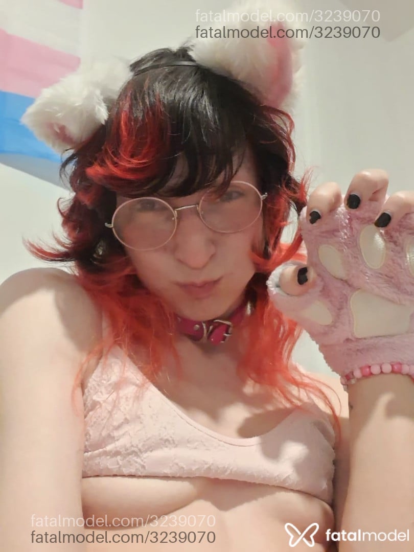 Acompanhante mulher trans com cabelo colorido de olhos castanhos - Ariel Loli