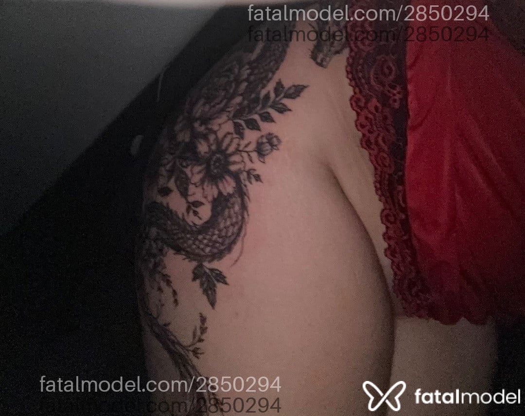 Imagem 3