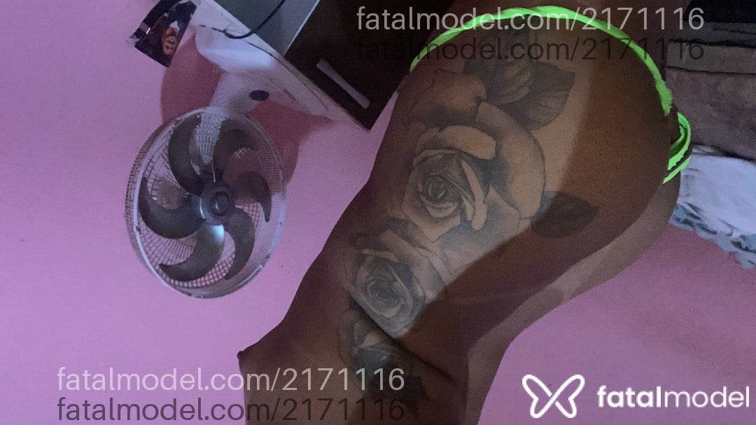 Acompanhante mulher trans morena (o) de olhos castanhos em Canaã dos Carajás - Luane Xavier