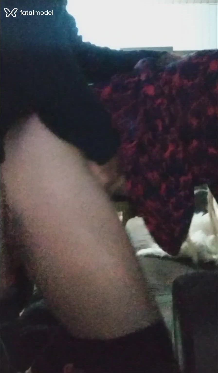 Acompanhante travesti loira (o) de olhos castanhos em Gravataí Acompanhante travesti loira (o) de olhos castanhos em Gravataí - Bemliberal