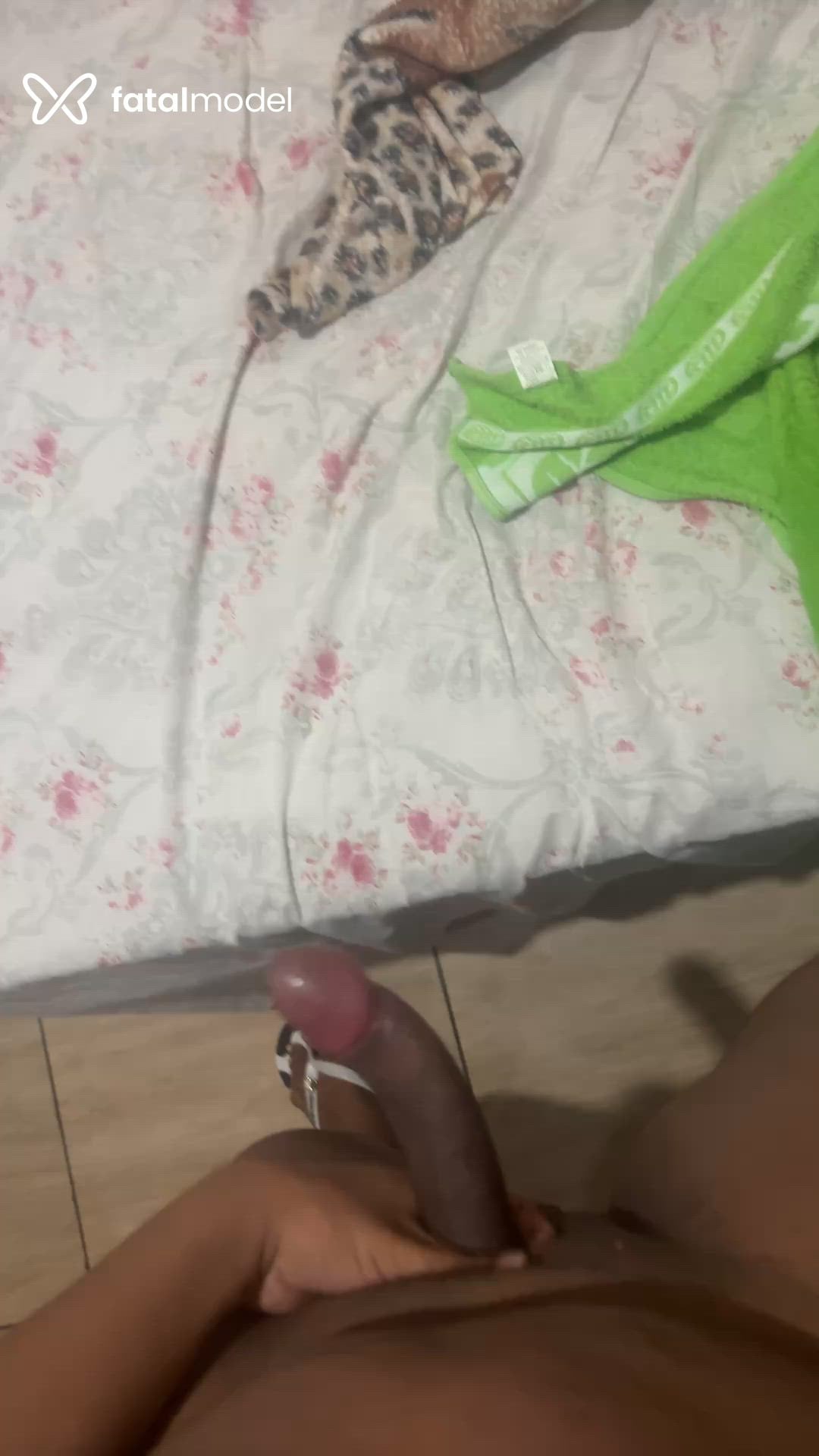 Acompanhante mulher trans loira (o) de olhos castanhos em Campos dos Goytacazes - Manuella Santos