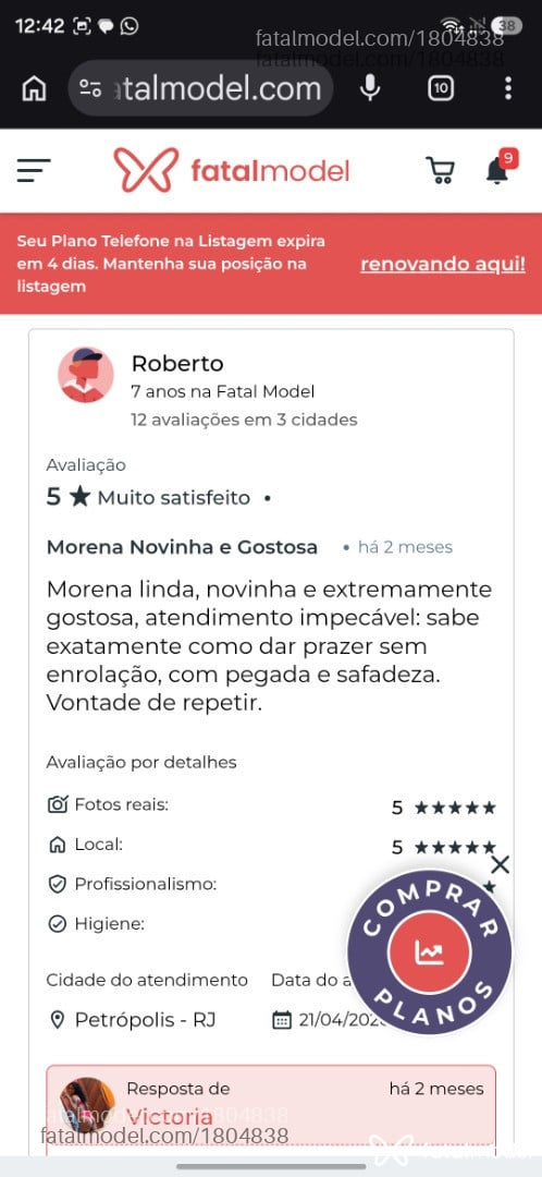 Acompanhante mulher com cabelo castanho de olhos castanhos em Macaé - Victoria