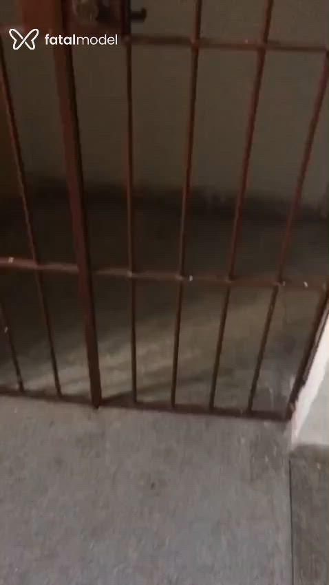 Vídeo 5
