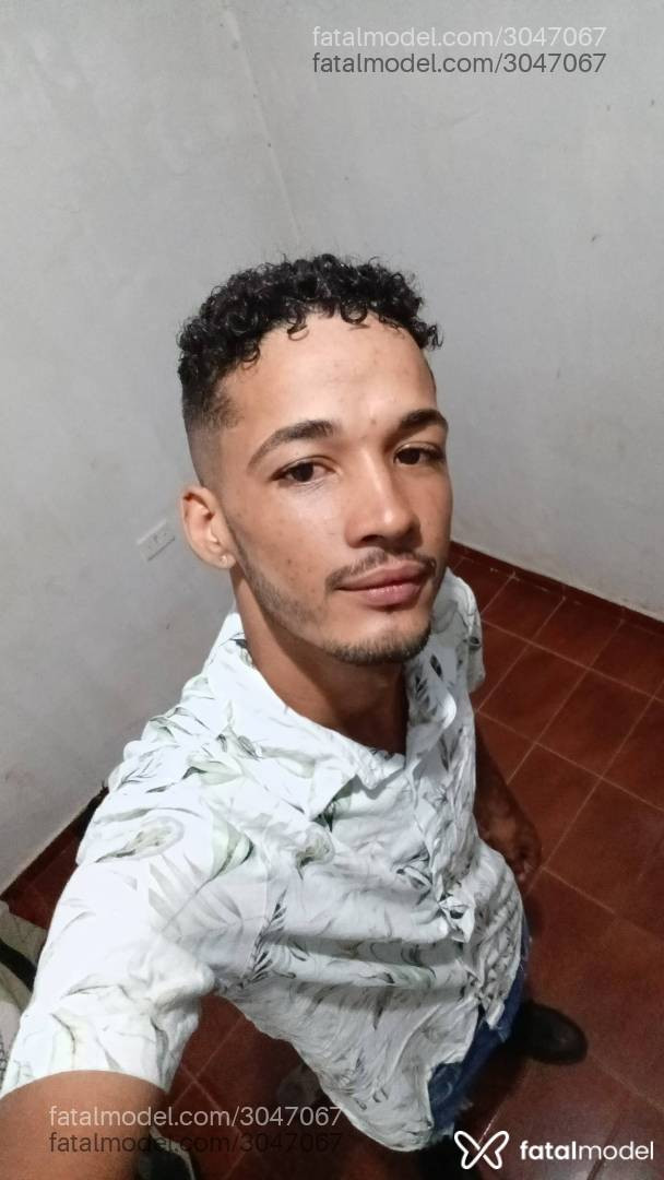 Acompanhante homem morena (o) de olhos pretos em Palmas Acompanhante homem morena (o) de olhos pretos em Palmas - Liminha