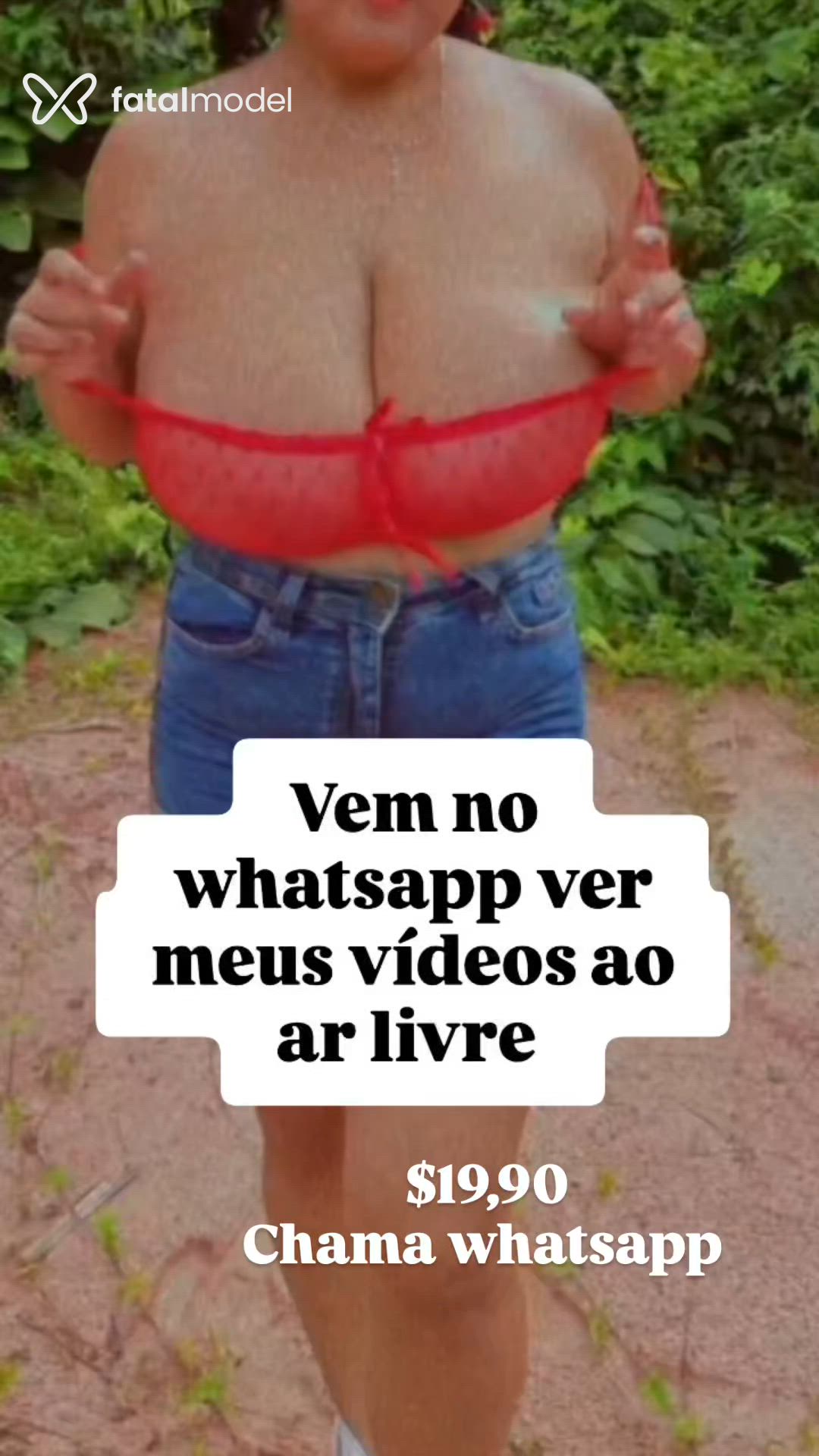 Vídeo 2