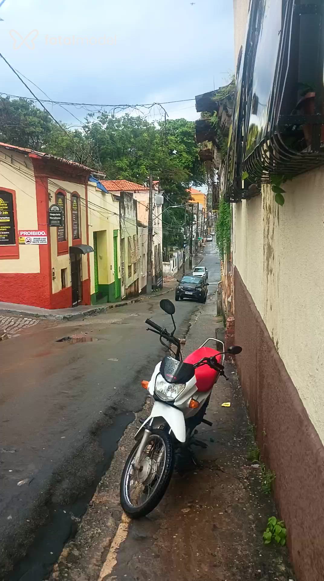 Acompanhante mulher morena (o) de olhos pretos em São Luís Acompanhante mulher morena (o) de olhos pretos em São Luís - Rayssa Santos