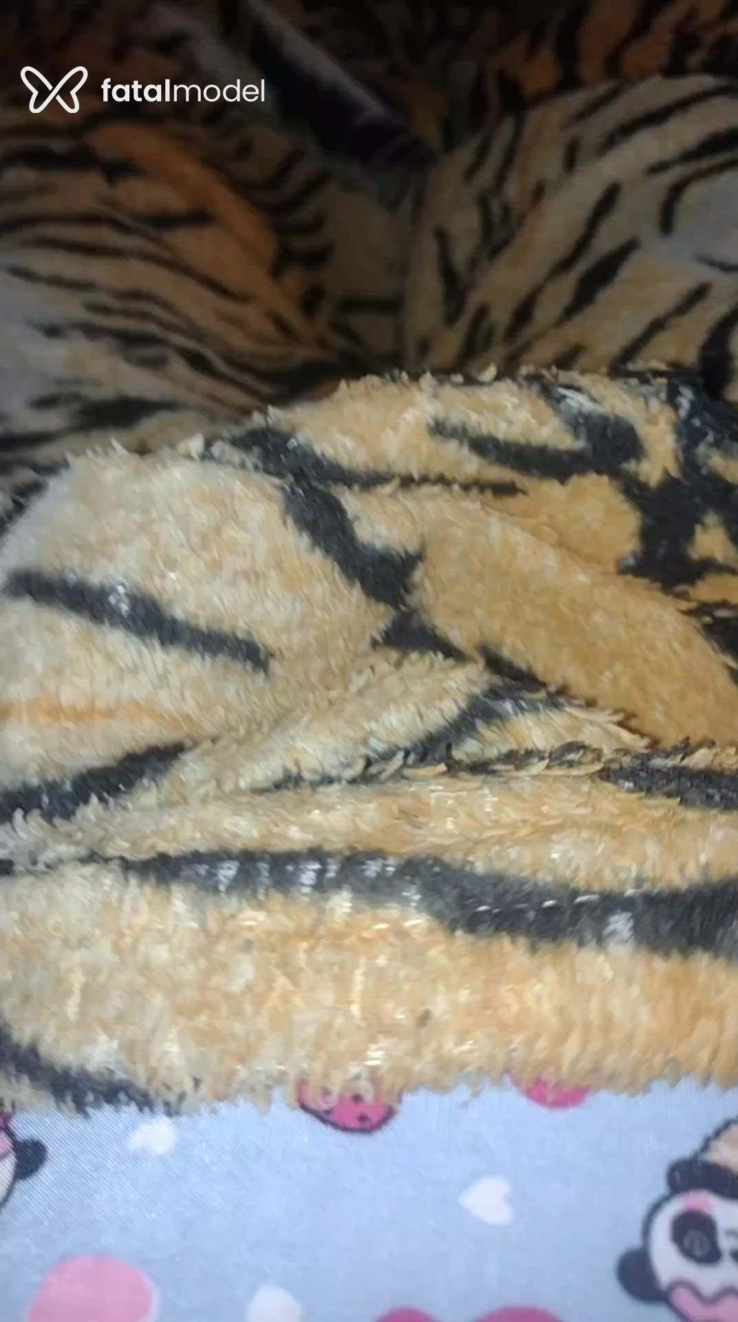 Acompanhante mulher trans loira (o) de olhos castanhos - Dani Araçatuba
