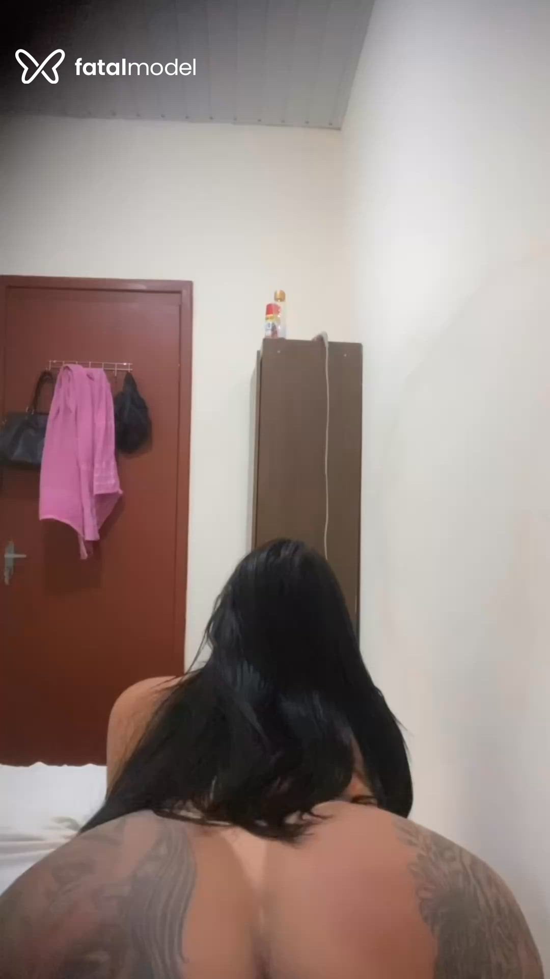 Acompanhante mulher trans morena (o) de olhos castanhos - Vittoria Schneider