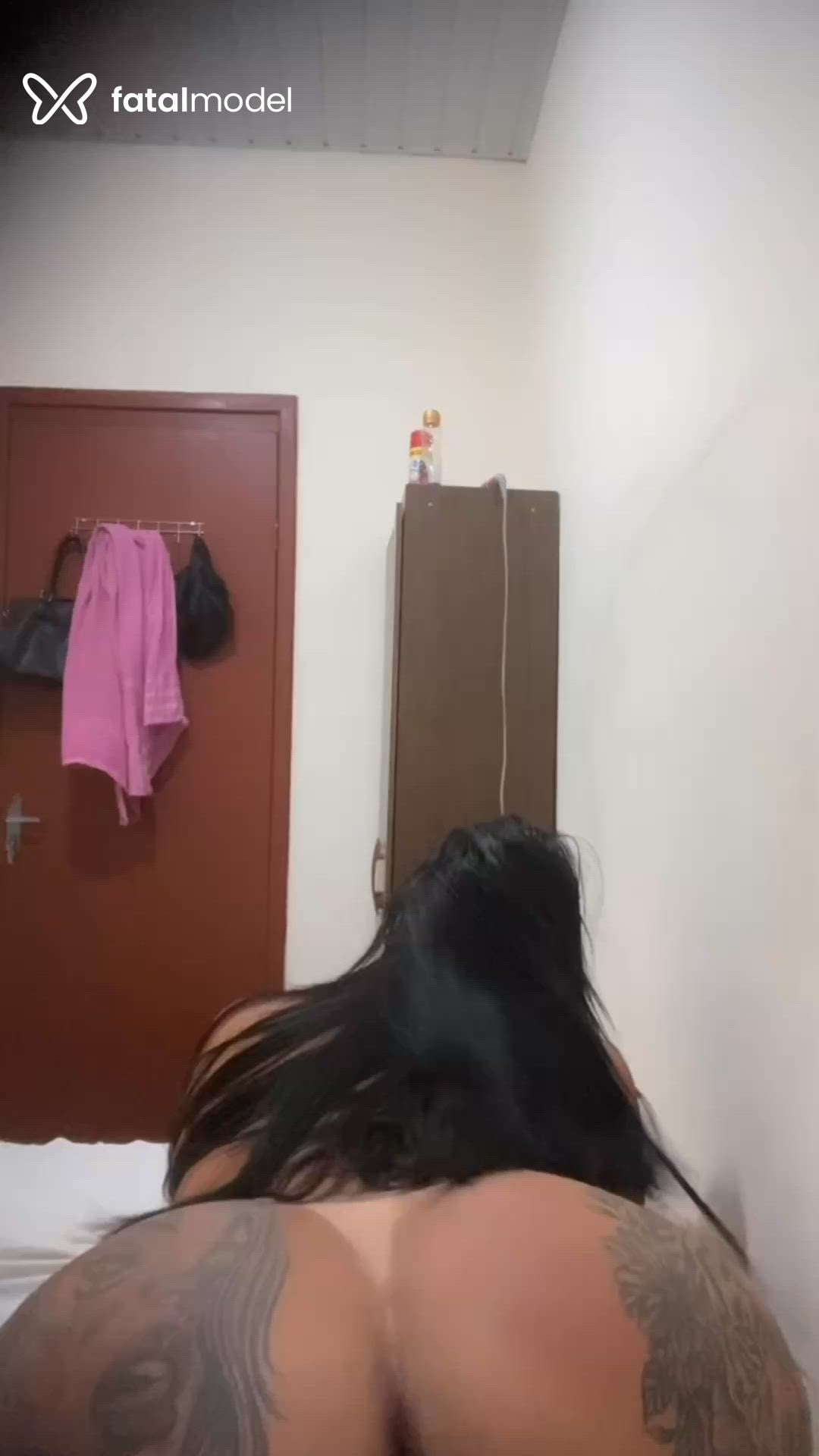 Acompanhante mulher trans morena (o) de olhos castanhos - Vittoria Schneider