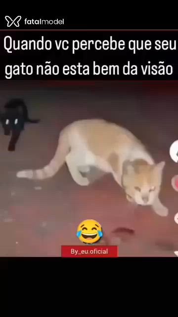 Vídeo 6