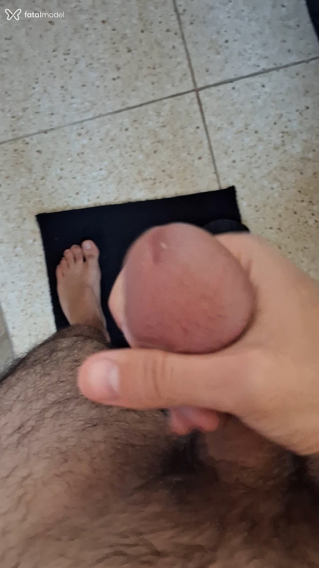 Acompanhante homem com cabelo castanho de olhos castanhos - Mestiço