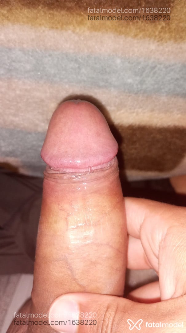 Acompanhante homem morena (o) de olhos pretos - Bruno Martins