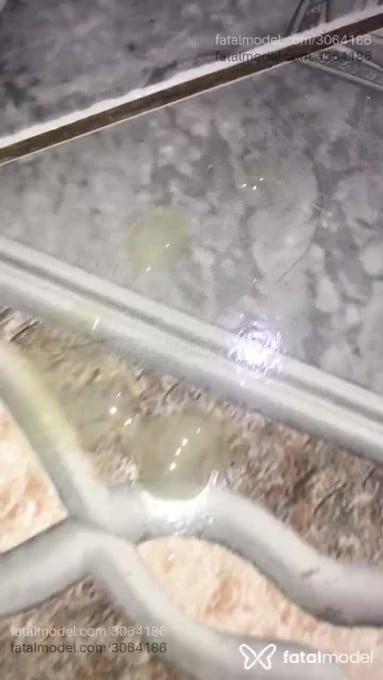 Acompanhante mulher trans morena (o) de olhos castanhos em Araguaína - Ysadora Cortez