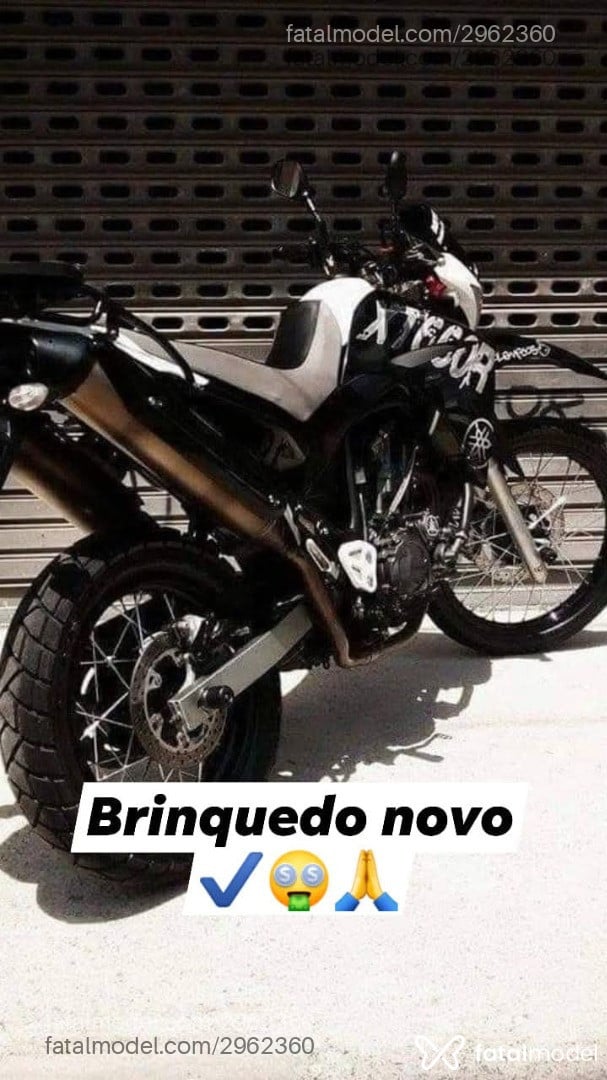Acompanhante homem morena (o) de olhos verdes - Fernandes zs