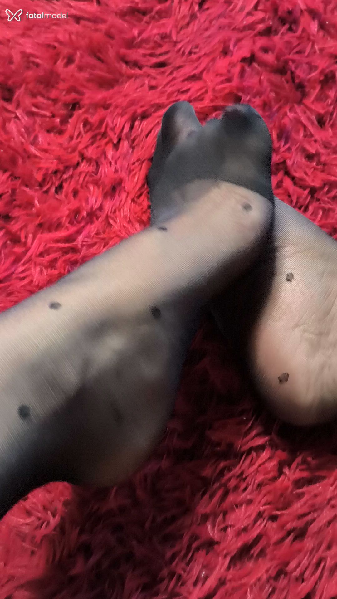 Acompanhante mulher morena (o) de olhos pretos - Lanna