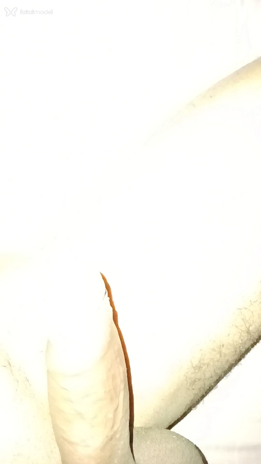 Acompanhante homem morena (o) de olhos mel - Souzaprive