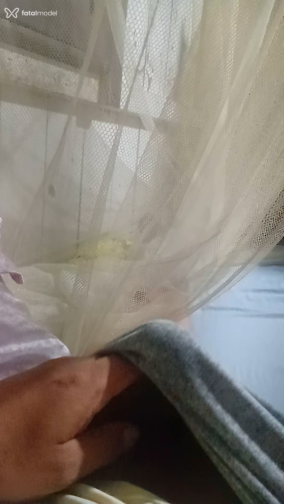 Acompanhante homem com cabelo castanho de olhos pretos - David