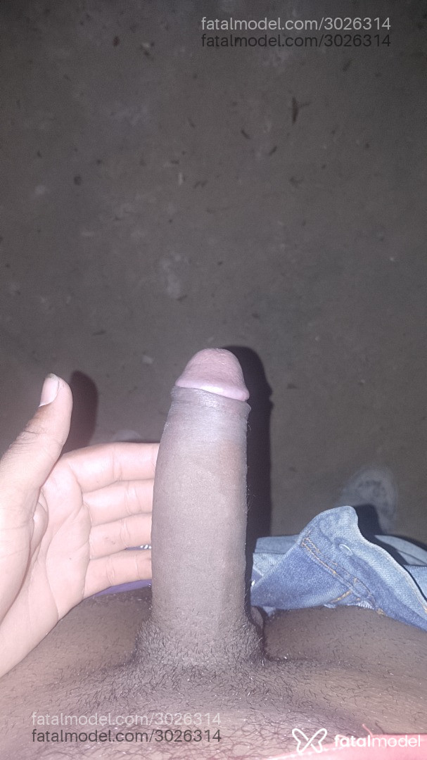 Imagem 11