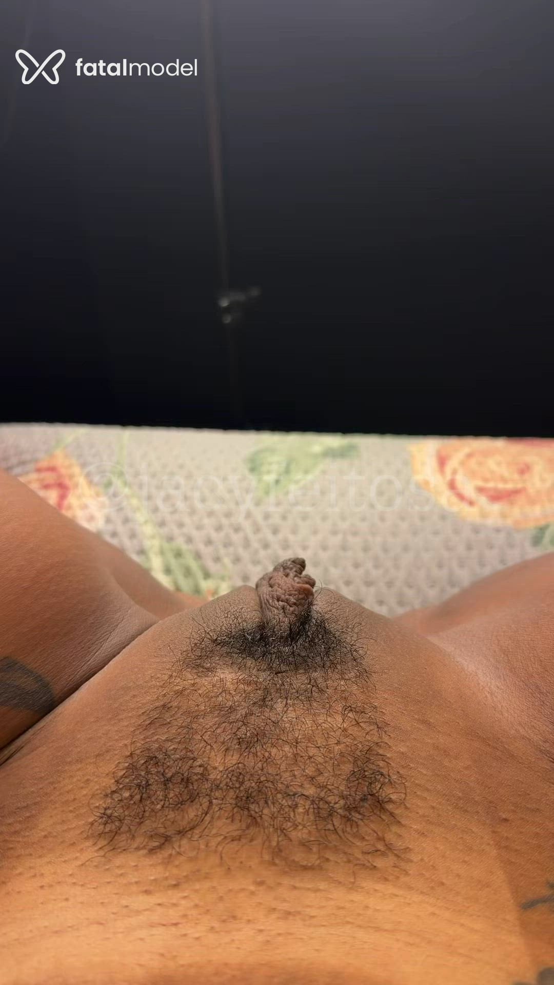 Acompanhante mulher morena (o) de olhos pretos - Jacy Feitosa