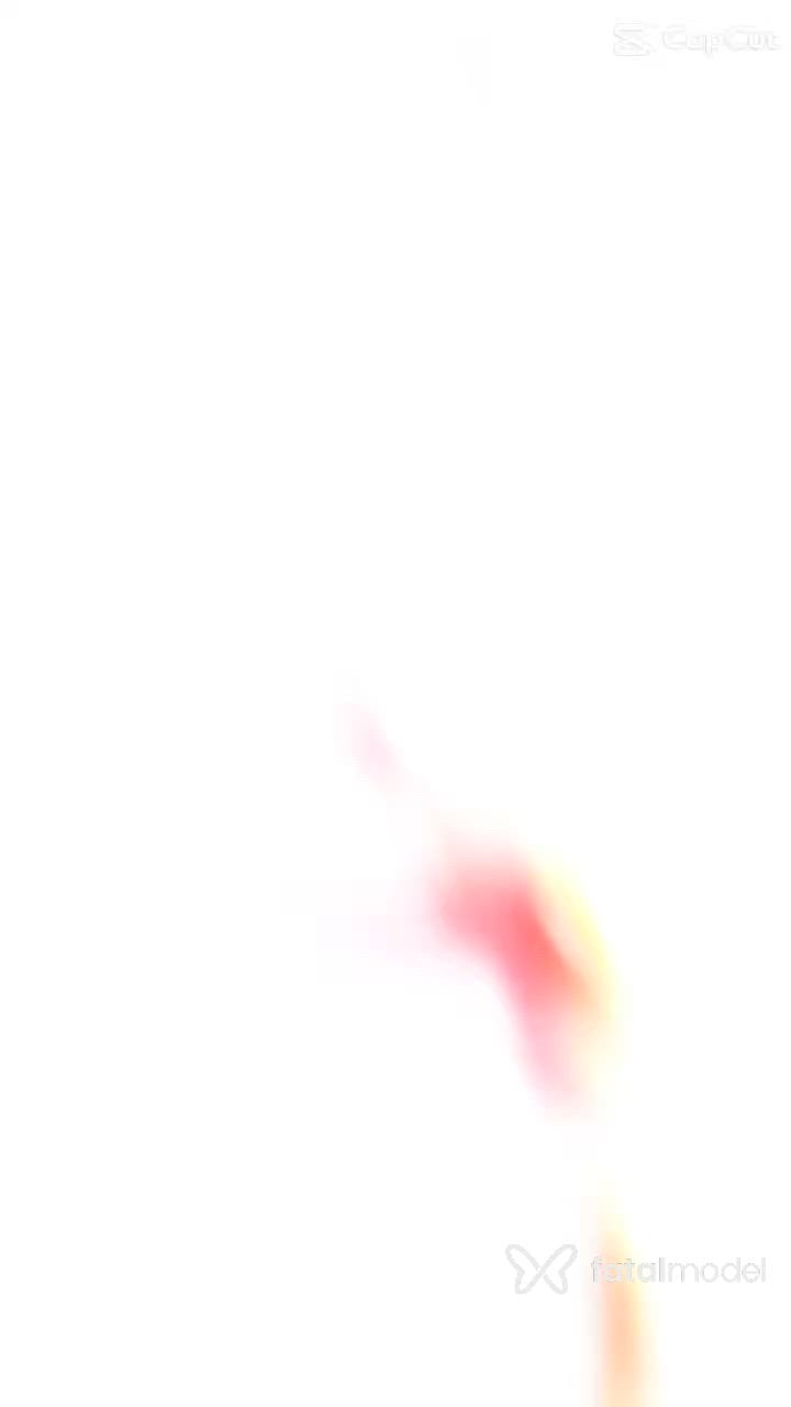Vídeo 3