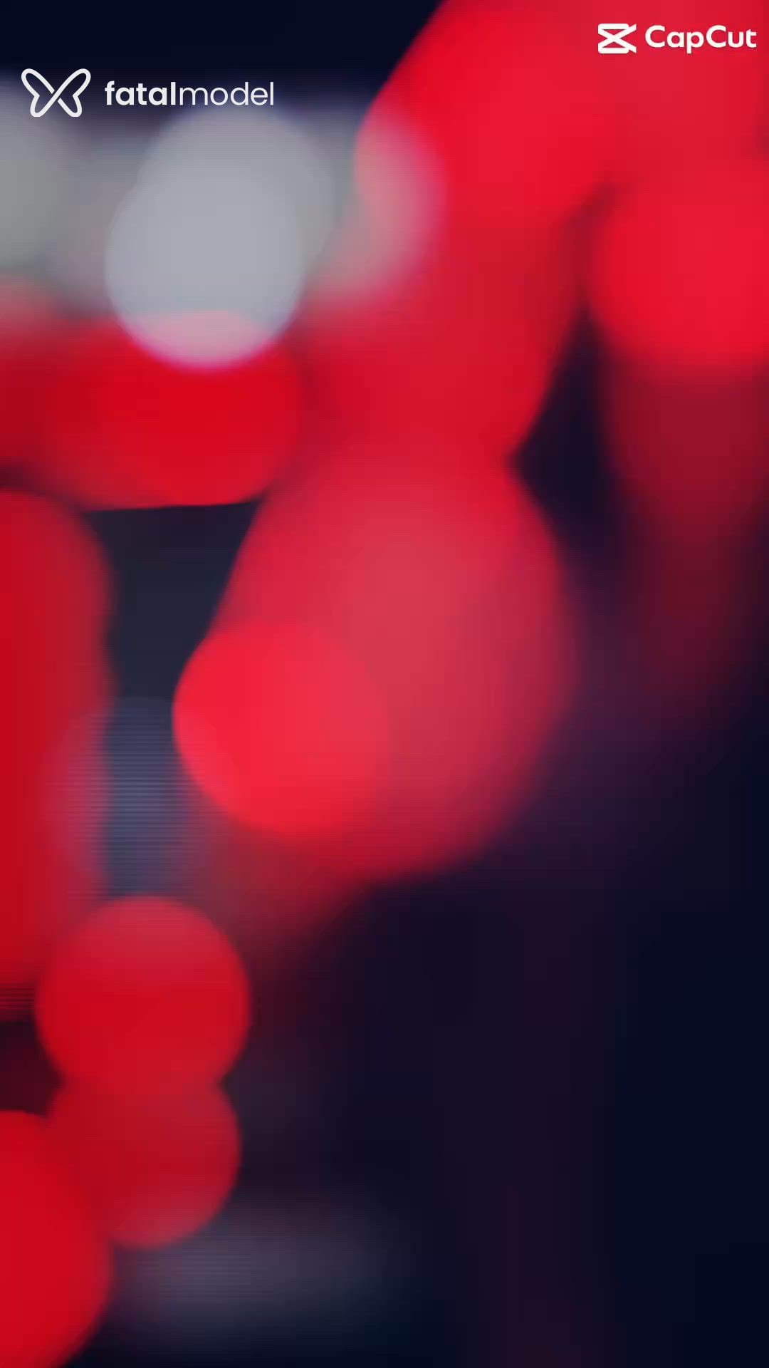 Vídeo 6