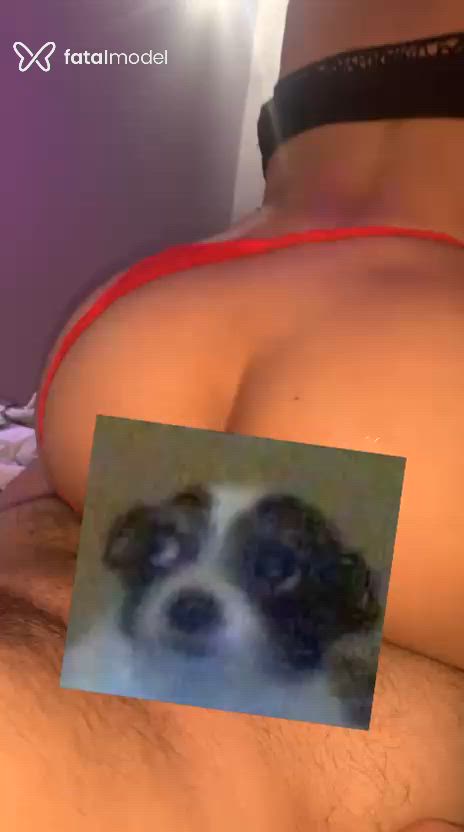 Acompanhante mulher trans morena (o) de olhos mel - Mendes
