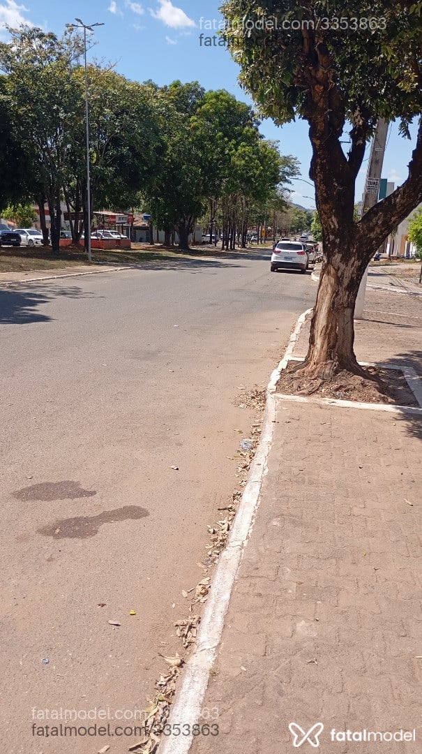 Acompanhante homem morena (o) de olhos pretos - Souza Amador