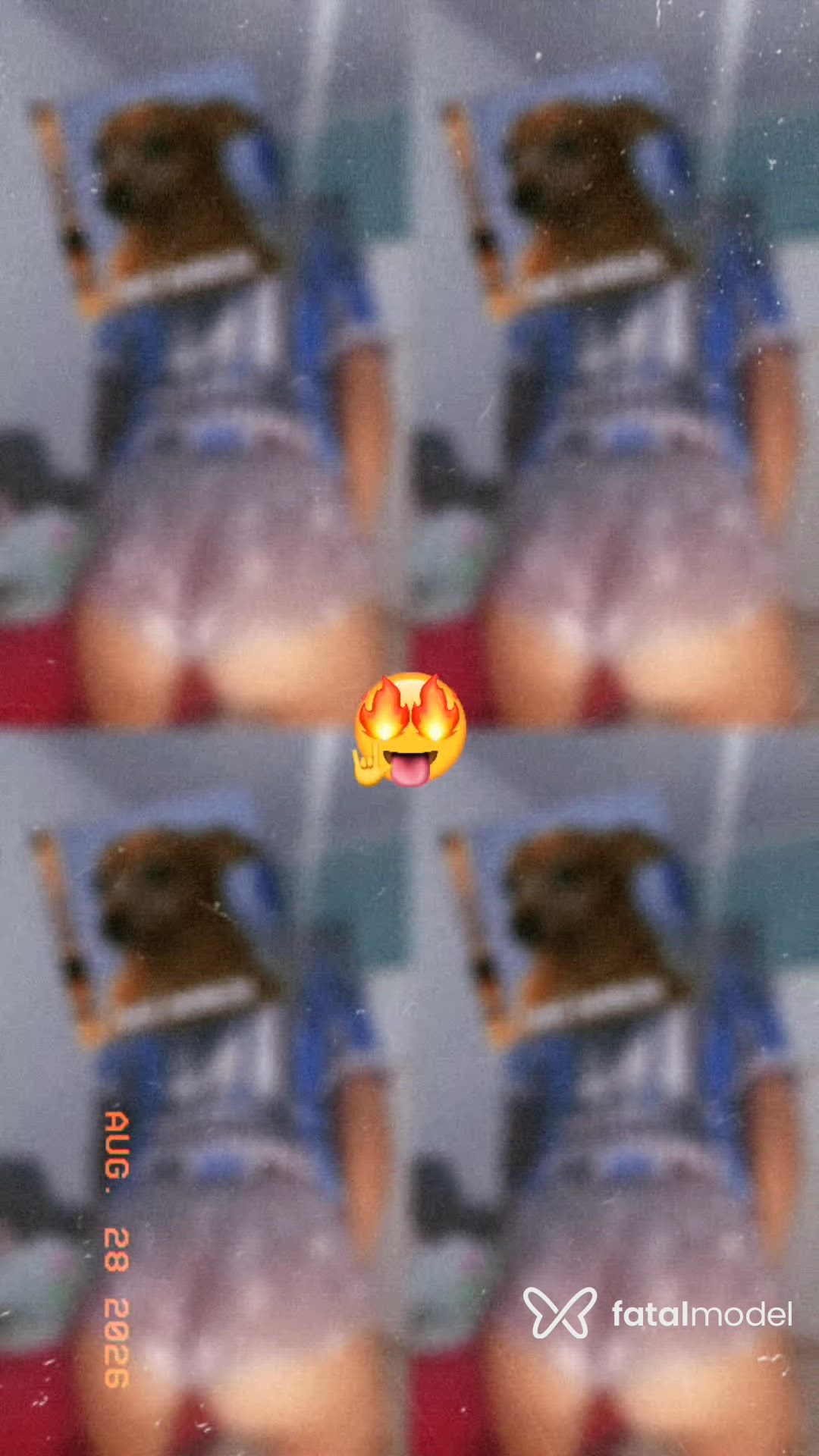 Vídeo 1
