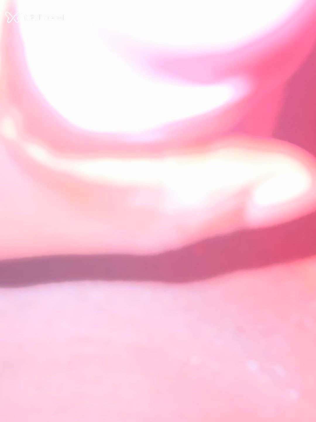 Vídeo 2