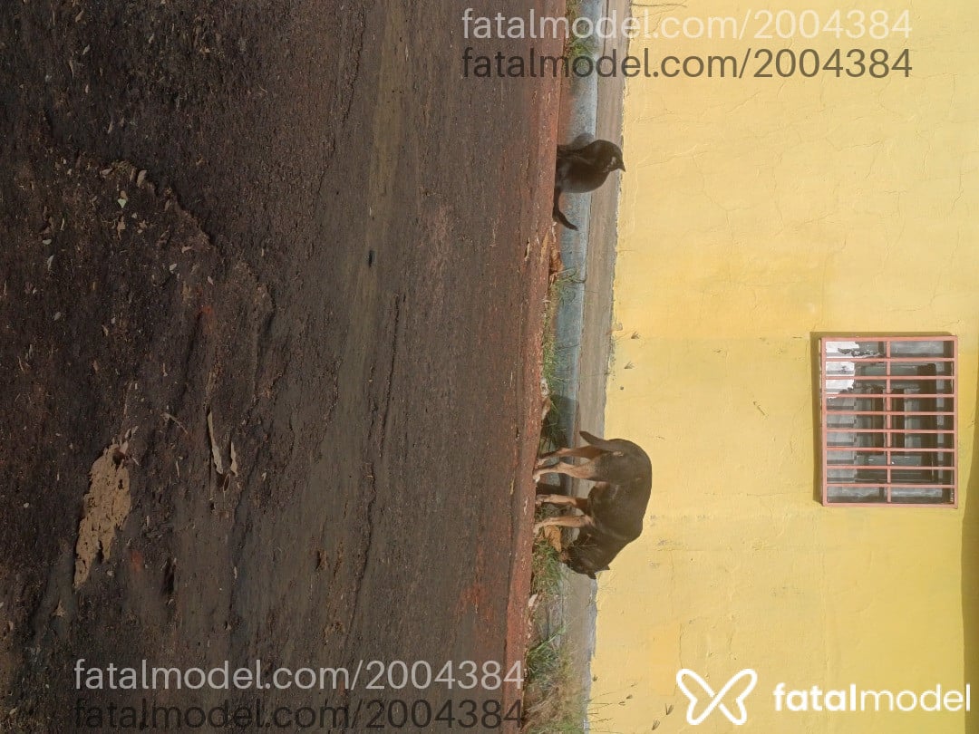Imagem 4